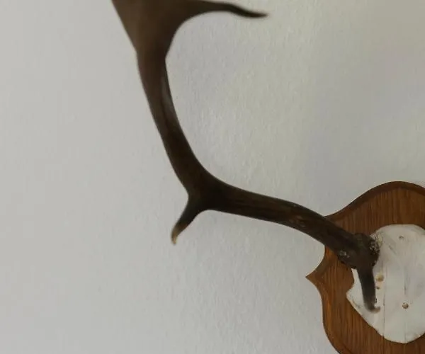 Bergische Schweiz Hotel